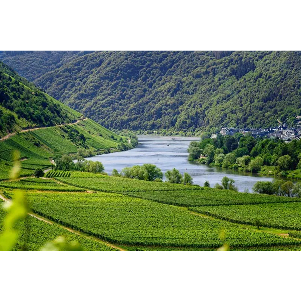 Rhône